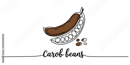 Photos Carob beans vector illustration