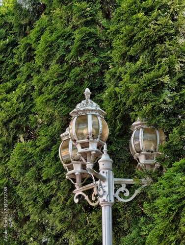 Enchanting Street Lamp Bathed In Soft Dawn Glow Amidst Lush Foliage