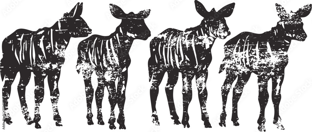 Obraz premium Four black and white zebra silhouettes with striped patterns in a row