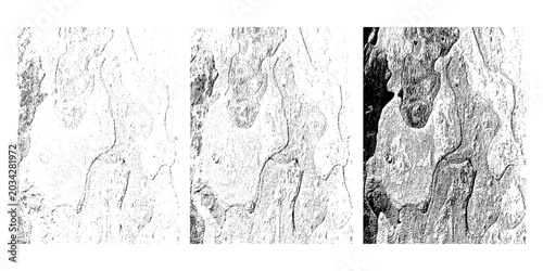 Vector overlay textures various density. Distressed gritty grunge effect backgrounds. Monochrome grain surfaces of Platanus tree bark structure.
