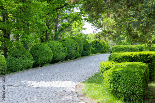 A green park on a sunny spring day