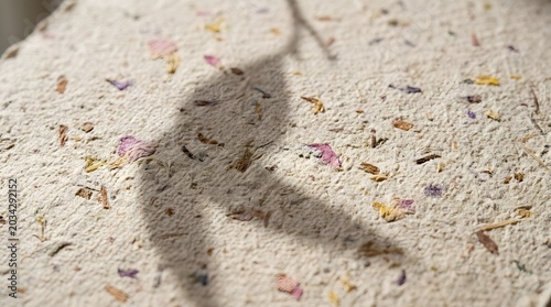 Handcrafted recycled paper sheet featuring embedded dried flower petals and organic natural textures captured in a bright sunlight photograph showing artistic detail and rustic aesthetic appeal
