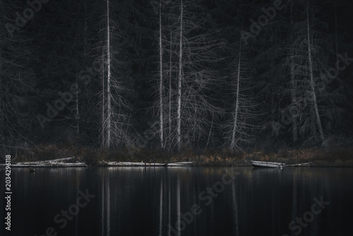 Boat On A Dark Lake