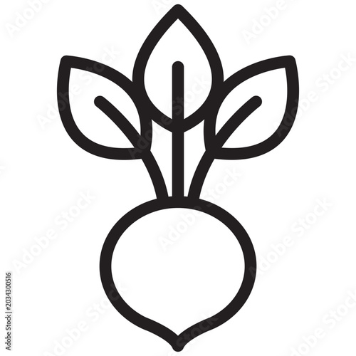 Onion plants outline icons, minimalist vector illustration, simple concept, editable stroke, Isolated on white background