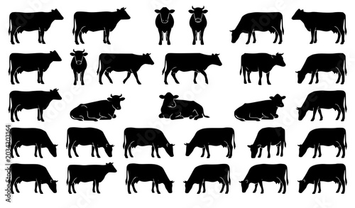 Fotografie Holstein Dairy Cow Silhouette Collection with Multiple Farm Animal Poses