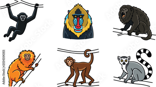 Photography Wild Monkey and Primate Clipart Set Featuring Cartoon Gibbon Mandrill Portrait H