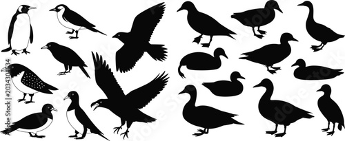 Valokuva Water bird and penguin silhouette collection featuring ducks seabirds and flying