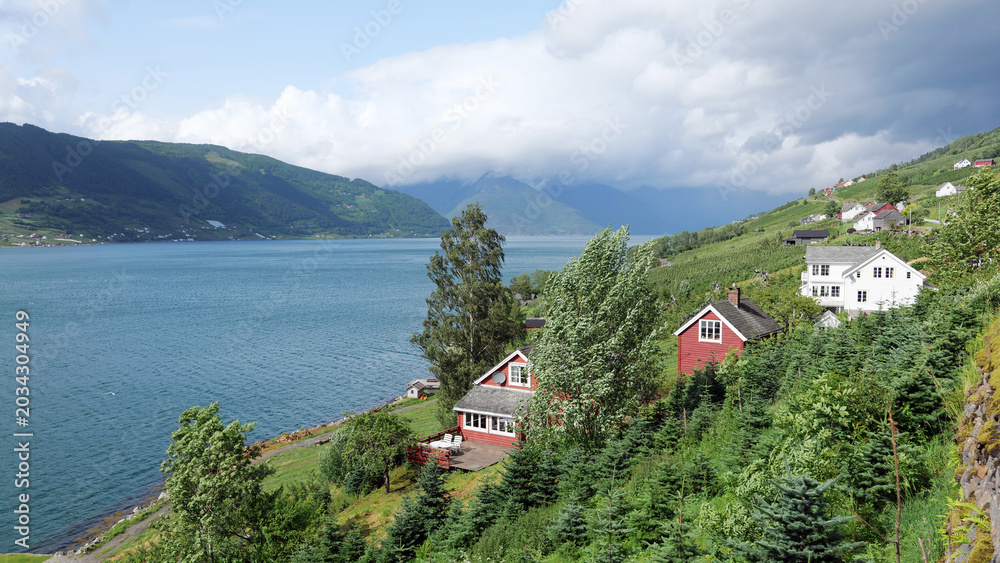 Fototapeta premium Norway, road 13