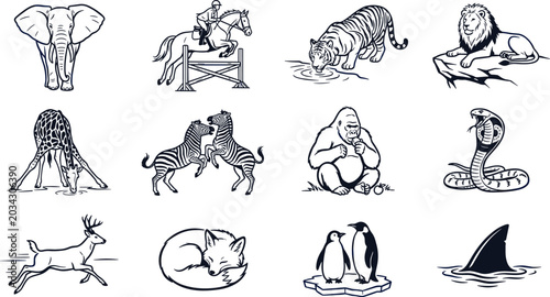 Photography Vintage Engraved Style Wild Animals Vector Set Featuring Safari Wildlife Marine