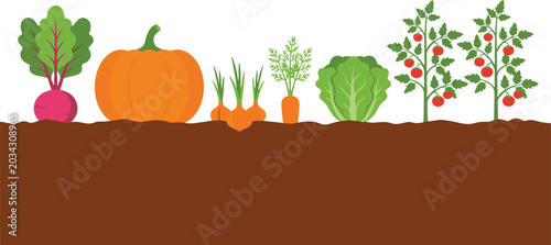 Vegetable garden icon illustrations with beetroot, pumpkin, carrot, lettuce, tomato plants, soil graphics, and vector design concepts