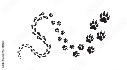 Animal paw prints trail path on white background, dog cat bear footprint set