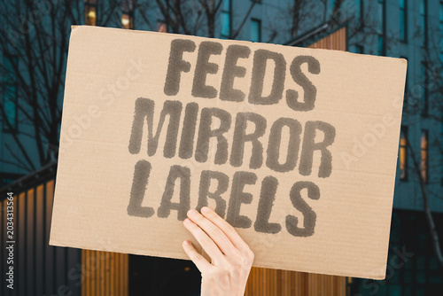 Εκτύπωση καμβά "Feeds Mirror Labels" Algorithms reinforce familiar identities daily