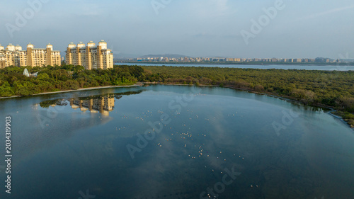 Photography Aerial View of Mangrove Forest in Navi Mumbai
Drone Photography of Mumbai Coasta