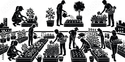 People gardening in raised planters together