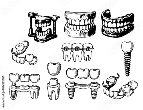 Tooth Doodle Illustrations Bundle, Hand Drawn Dental Anatomy and Dentistry Clipart, Minimal Medical Sketch PNG