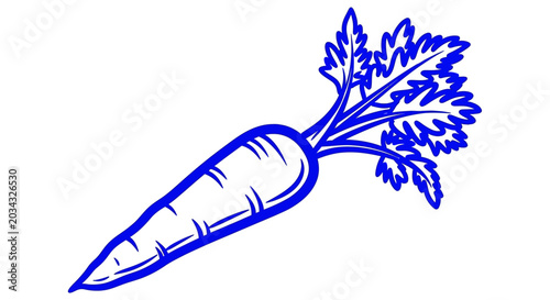 Blue Carrot Outline Illustration on White Background