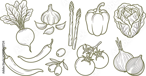 Set of fresh vegetables and herbs, hand drawn sketch style beetroot, garlic, asparagus, bell pepper, cabbage, chili pepper, olives, tomato, onion