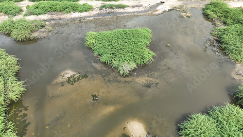 Fotografía Pond Neltuma juliflora Prosopis wetland environment aerial view marsh swamps are