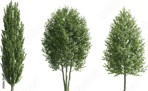 Foto Three different green deciduous trees set architecture landscape element design