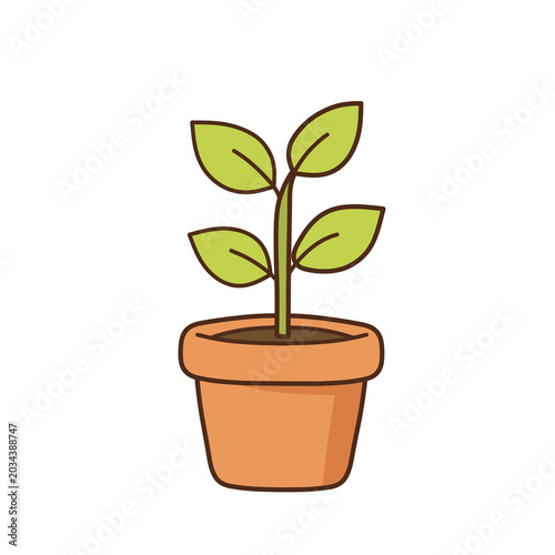 Plant in Pot Cartoon Illustration