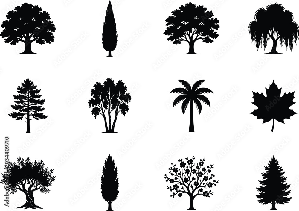 Fototapeta premium Collection of tree silhouettes against a white background showcasing various botanical forms shapes illustration black flora foliage deciduous trees coniferous palm willow