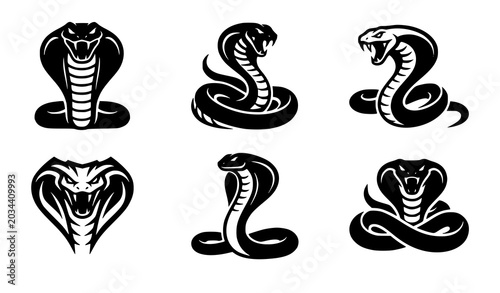 Fotografie Modern cobra vector logo illustration set with geometric snake silhouette brandi