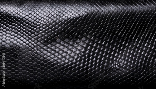 Black Snake Skin Texture For Background