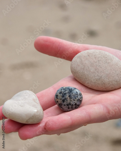 Hand holds three stones found on a beach during a sunny day by the shore