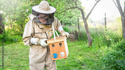Foto Catching bee swarm
