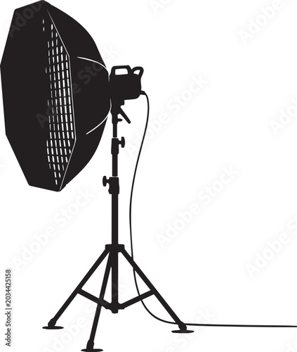Schilderij op canvas Professional studio flash light equipment with a softbox and reflector is mounte