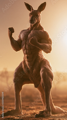 Muscular red kangaroo posed proudly in the warm golden light of dusk
