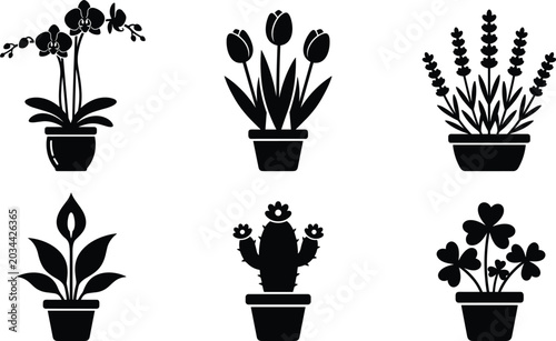 Photos Potted Houseplants and Flowers Black Silhouette Icon Set Featuring Orchid Tulip