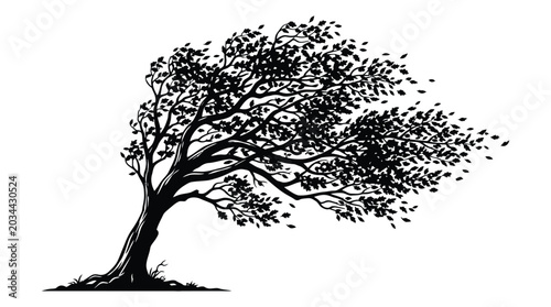 Windblown tree silhouette against a white background