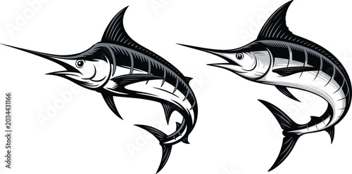 Tableau sur toile Marlin fish jumping vector illustration set in black and white engraved style wi