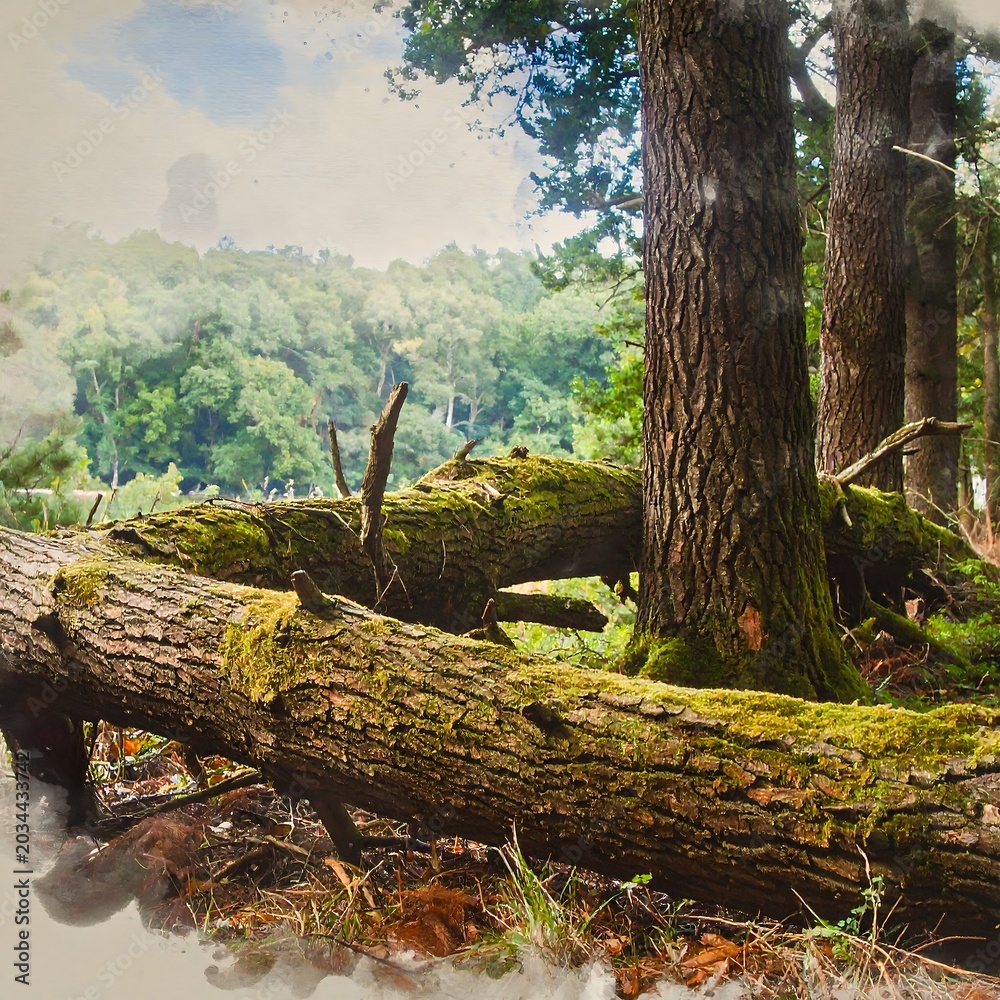 Fototapeta premium Moss Covered Fallen Tree Trunks Resting in Sunlit Forest Clearing