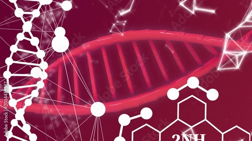 On play red double helix sliding and rotating while highlights moving for showing molecular network