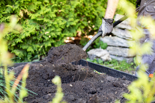 Photos Gardener working with a shovel in fertile garden soil
