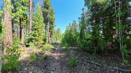 Flat and Shadowy Trail on Sunny Day in Arizona on the Arizona Trail
