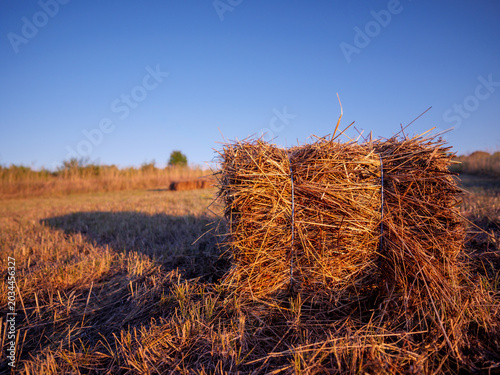Straw Bale In Harvested Field At Golden Hour In Quercy