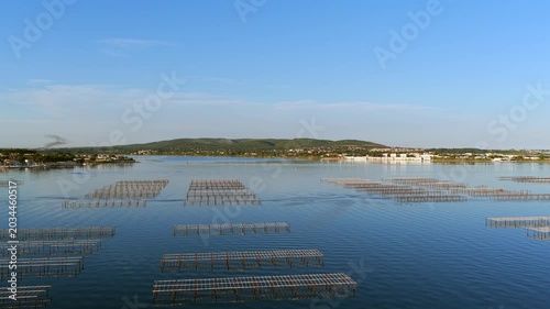 Aerial view of Bouzigues on the Thau Lagoon, in the Hérault department, Occitanie region, France