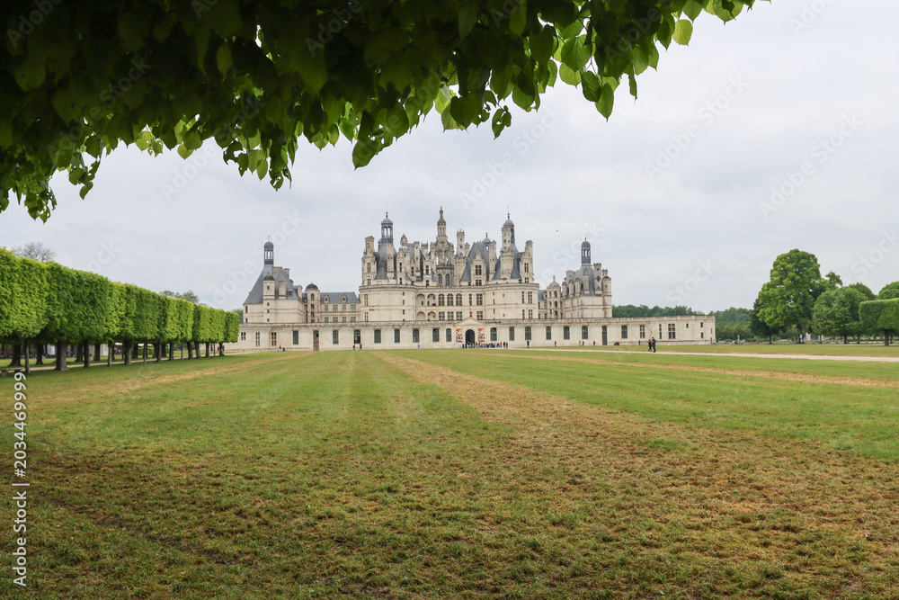 Fototapeta premium Panoramic green field leading to Chambord silhouette