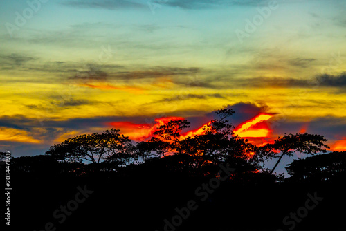 A colorful evening sky scene of blue, orange, yellow, and white at dusk. The silhouette trees and beautiful view of the red sky at dusk.