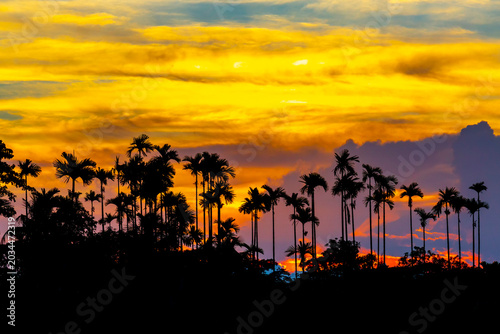 A colorful evening sky scene of blue, orange, yellow, and white at dusk. The silhouette trees and beautiful view of the red sky at dusk.