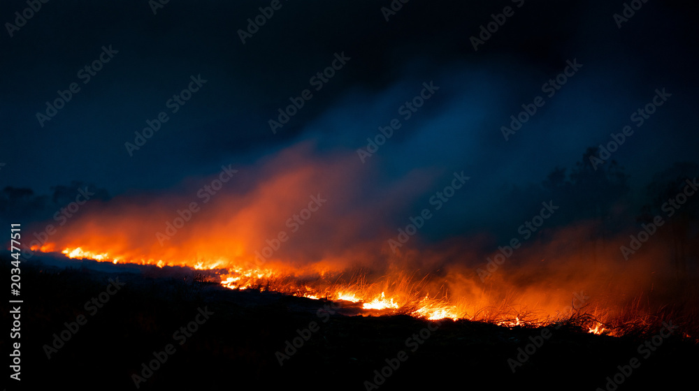 Fototapeta premium Intense wildfire sweeping across dark landscape with orange flames and swirling smoke at night, forest fire emergency, natural disaster, environmental catastrophe, burning