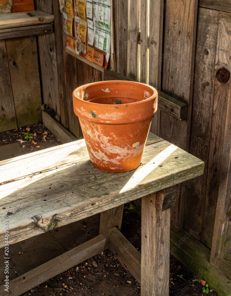 Naklejka premium Terra Cotta Flower Pot on Rustic Wooden Bench with Warm Sunlight
