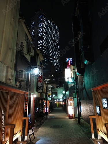 Bilde på lerret Tokyo night atmosphere