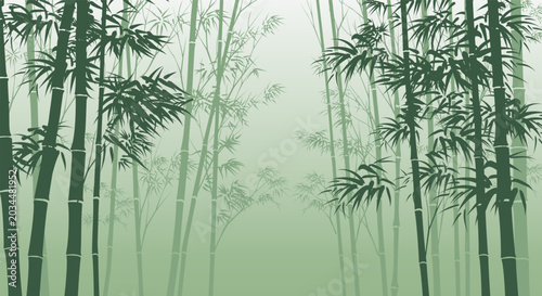 Bamboo forest background vector illustration.