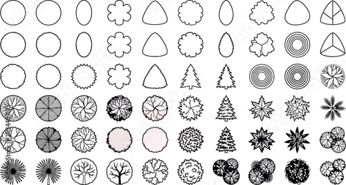 Foto Set of various tree top view icons isolated on white background