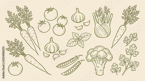 Fotografie Hand drawn vegetable sketches vintage line art illustration set of carrot, tomat