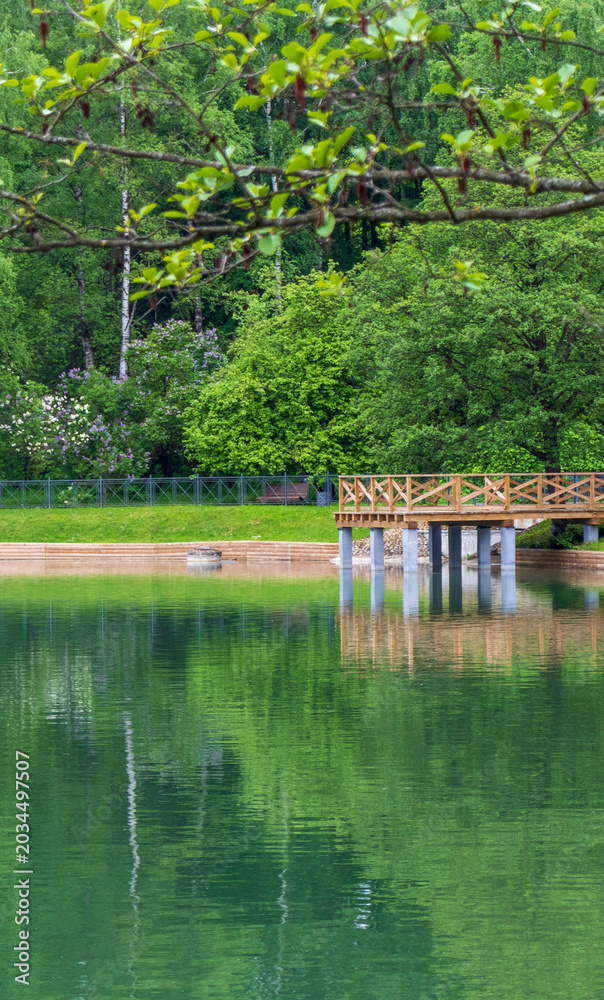 Obraz premium Wooden pier pier and green trees reflecting in a calm park pond. Outdoors